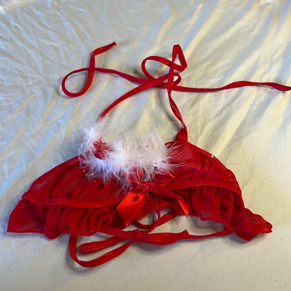 Winter Red Fuzzy Lingere Bra